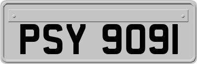 PSY9091
