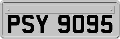 PSY9095