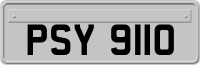 PSY9110