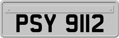 PSY9112