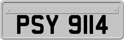 PSY9114