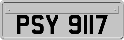 PSY9117