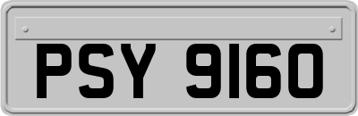 PSY9160