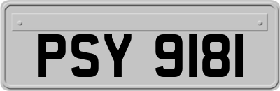 PSY9181