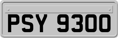 PSY9300