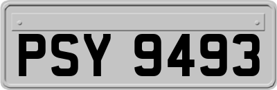 PSY9493