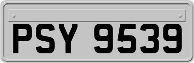 PSY9539