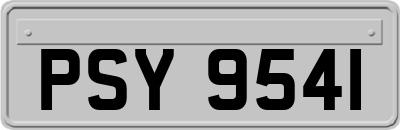 PSY9541