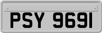 PSY9691