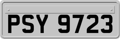 PSY9723