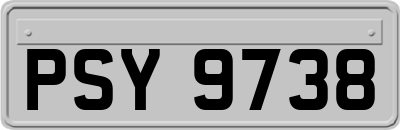 PSY9738