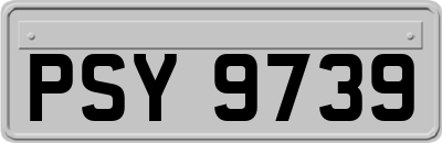 PSY9739