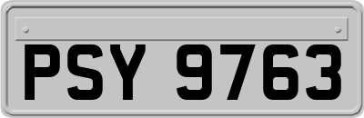 PSY9763