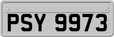 PSY9973