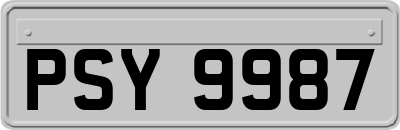 PSY9987