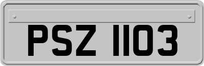 PSZ1103