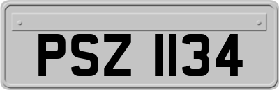 PSZ1134