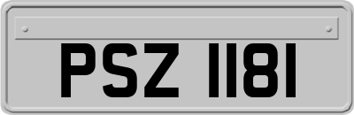 PSZ1181