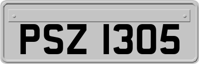 PSZ1305