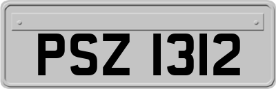 PSZ1312