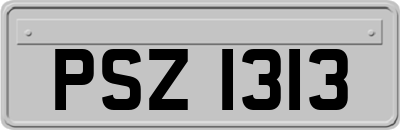 PSZ1313