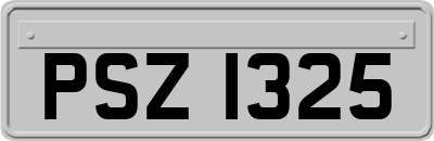 PSZ1325