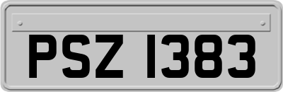 PSZ1383