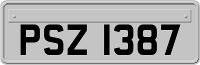 PSZ1387