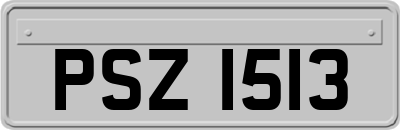 PSZ1513