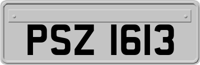 PSZ1613