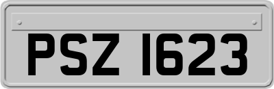 PSZ1623