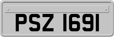 PSZ1691