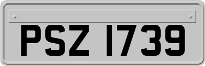 PSZ1739