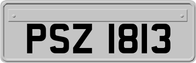 PSZ1813