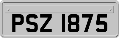 PSZ1875