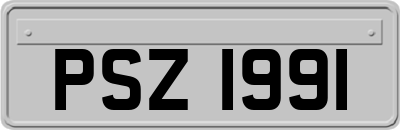 PSZ1991