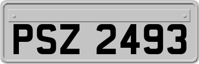 PSZ2493