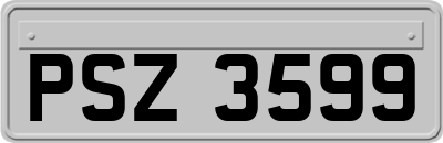PSZ3599