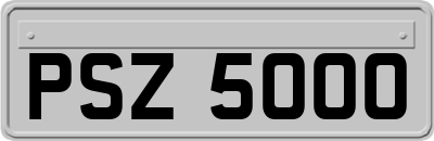 PSZ5000