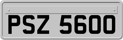 PSZ5600