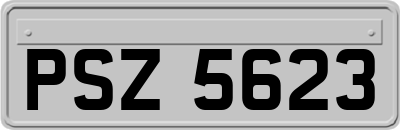PSZ5623