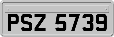 PSZ5739