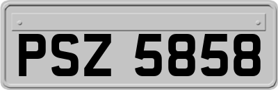 PSZ5858