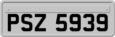 PSZ5939