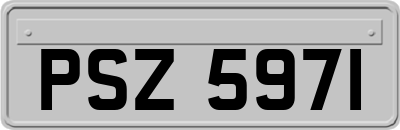 PSZ5971