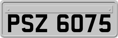 PSZ6075