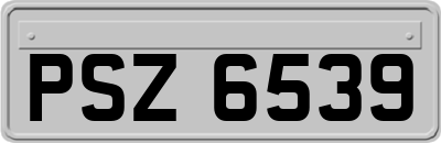 PSZ6539