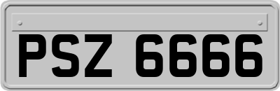 PSZ6666