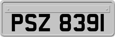 PSZ8391