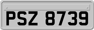 PSZ8739